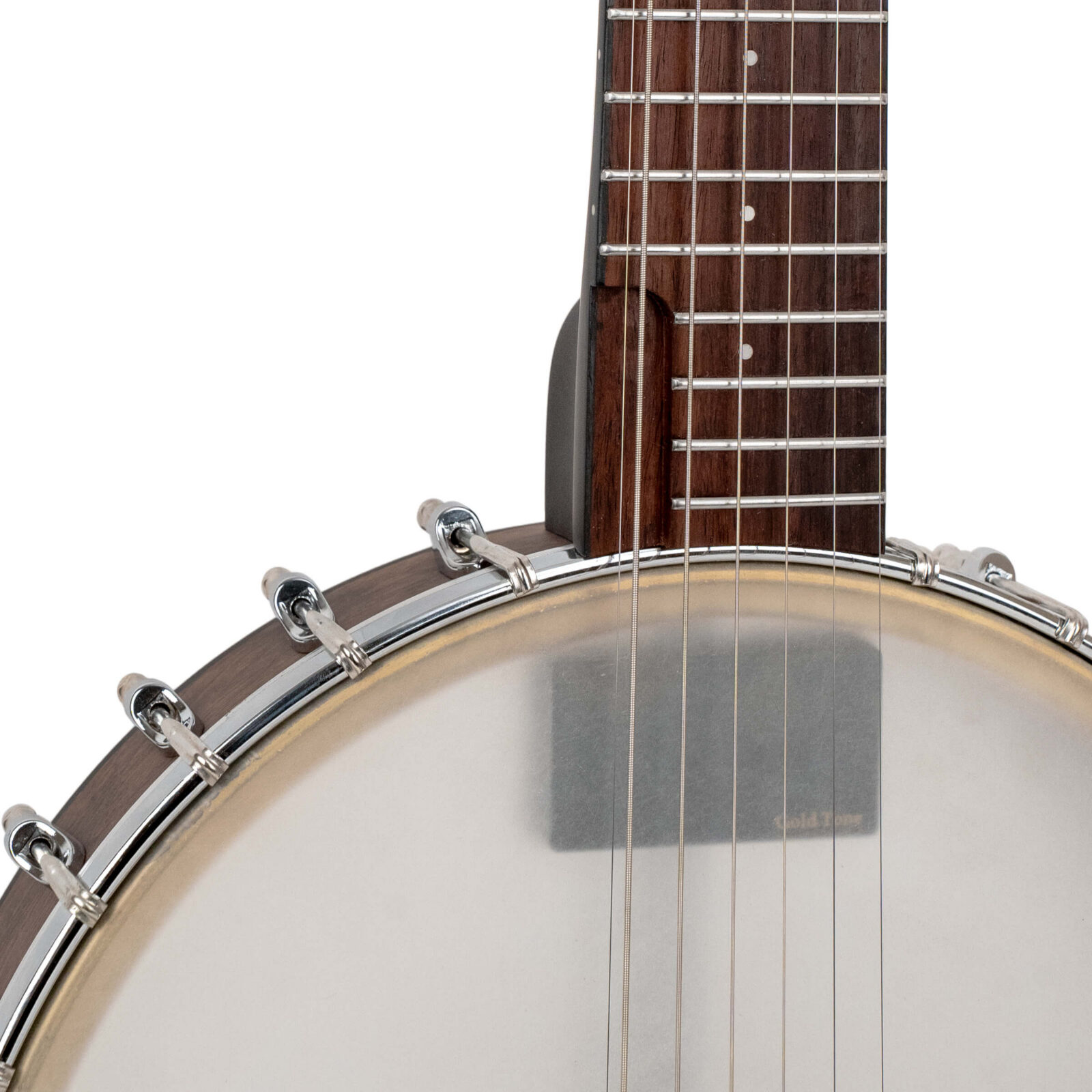 WR-7: Wayne Rogers Signature 7-String Banjitar with Bag - Image 4