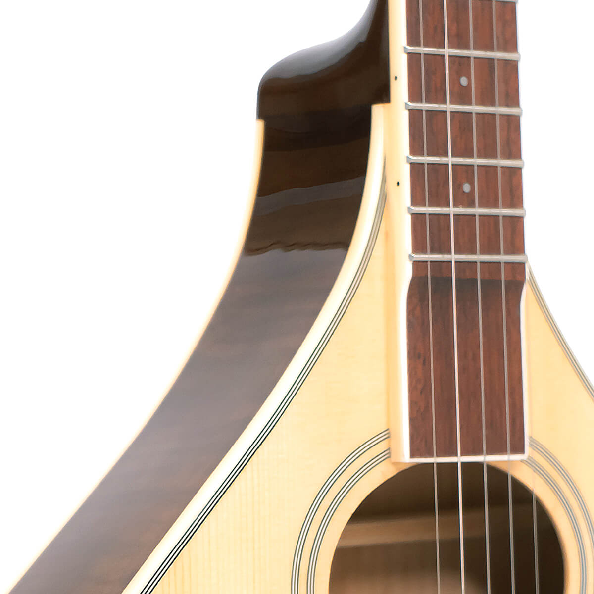 Banjola+ S: Woodbody Banjo with Pickup and Bag - Image 4