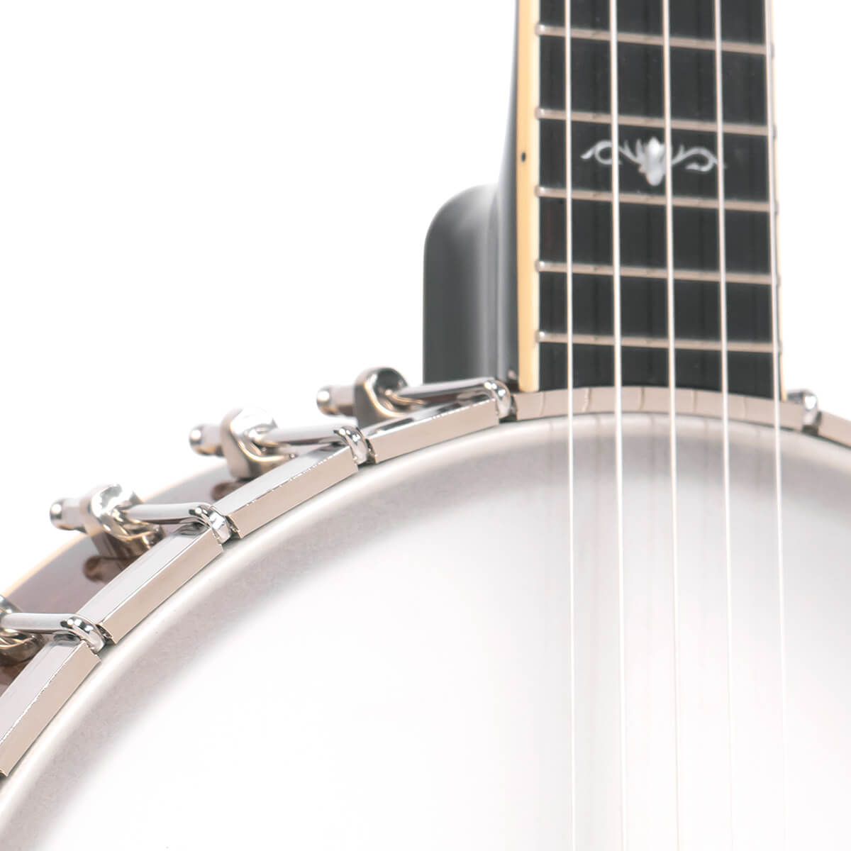 CEB-5: 5-String Cello Banjo with Case - Image 4