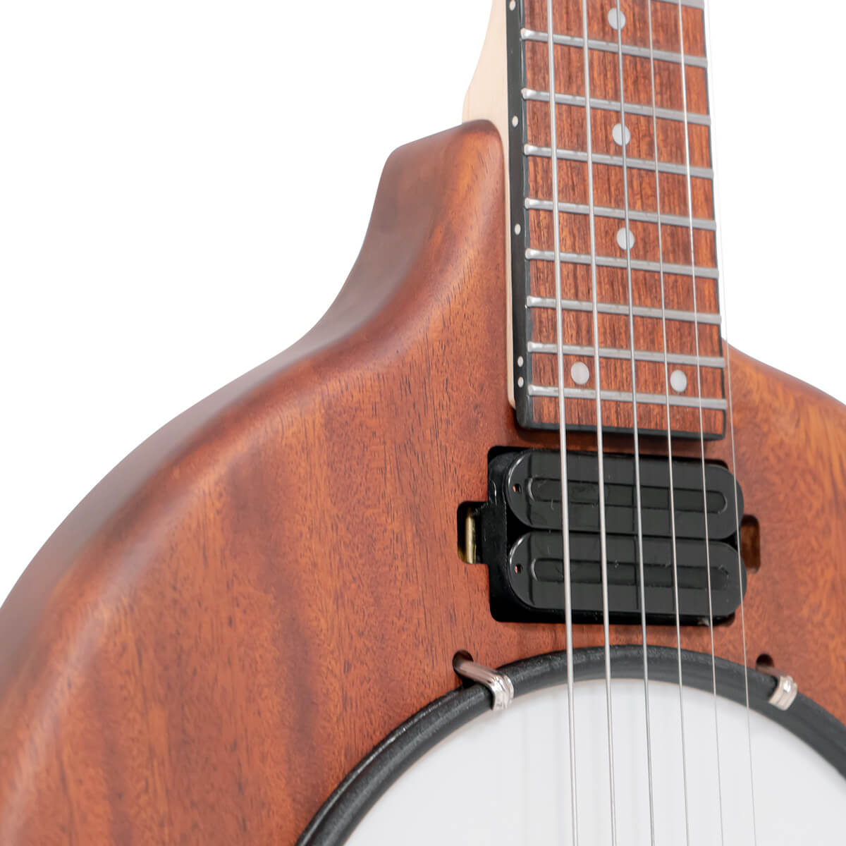 EB-6: Electric Banjitar with Gig Bag - Image 4