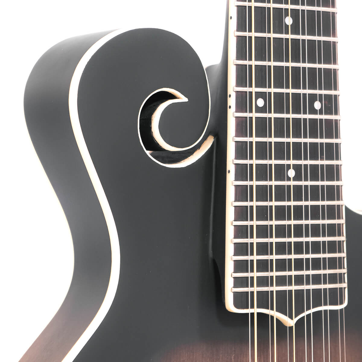 F-12: 12-string F-style Mando-Guitar with Pickup and Case - Image 4