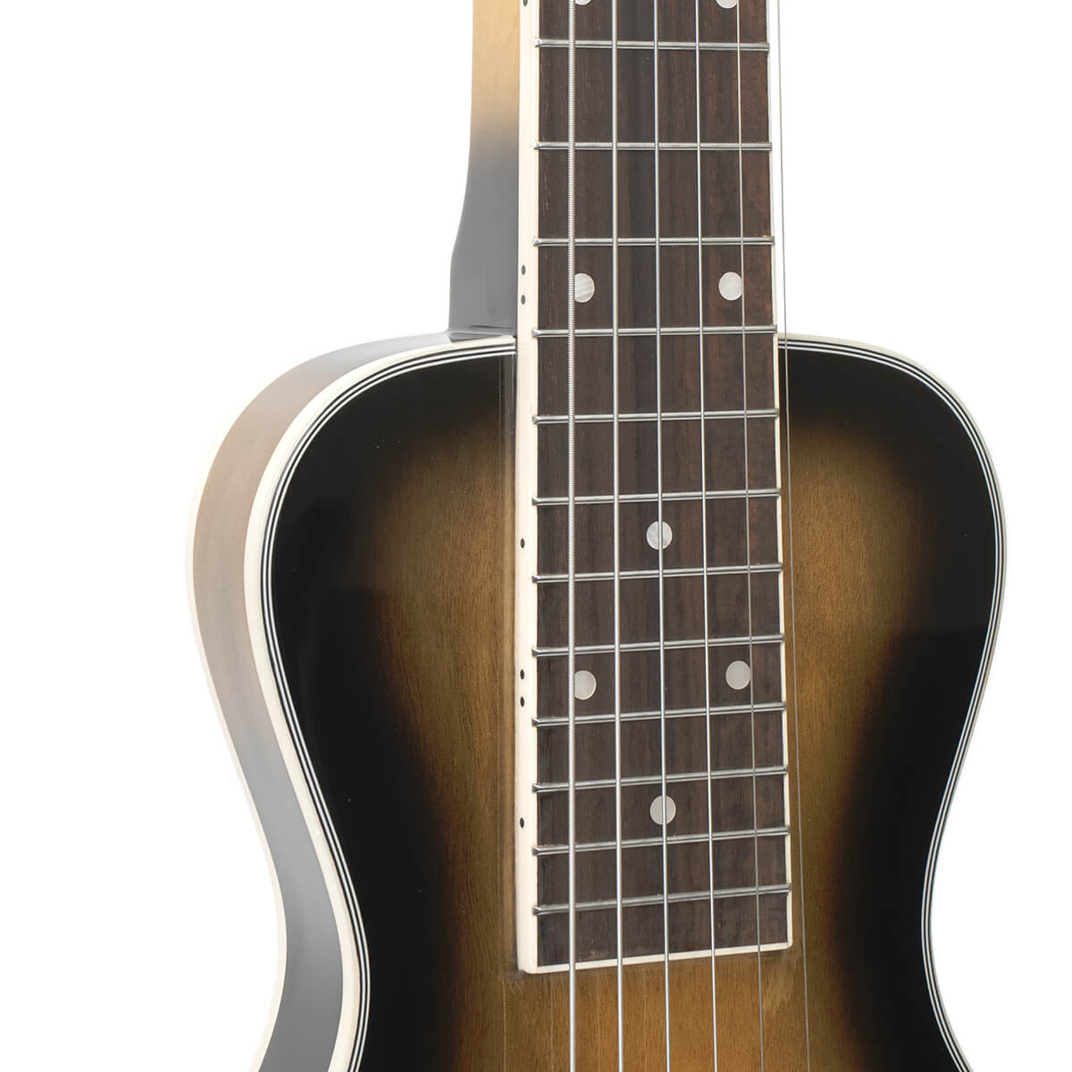 LS-6: Lap Steel Guitar with Case - Image 4