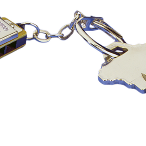 Hohner Mini Harmonica Keychain, Key Of C