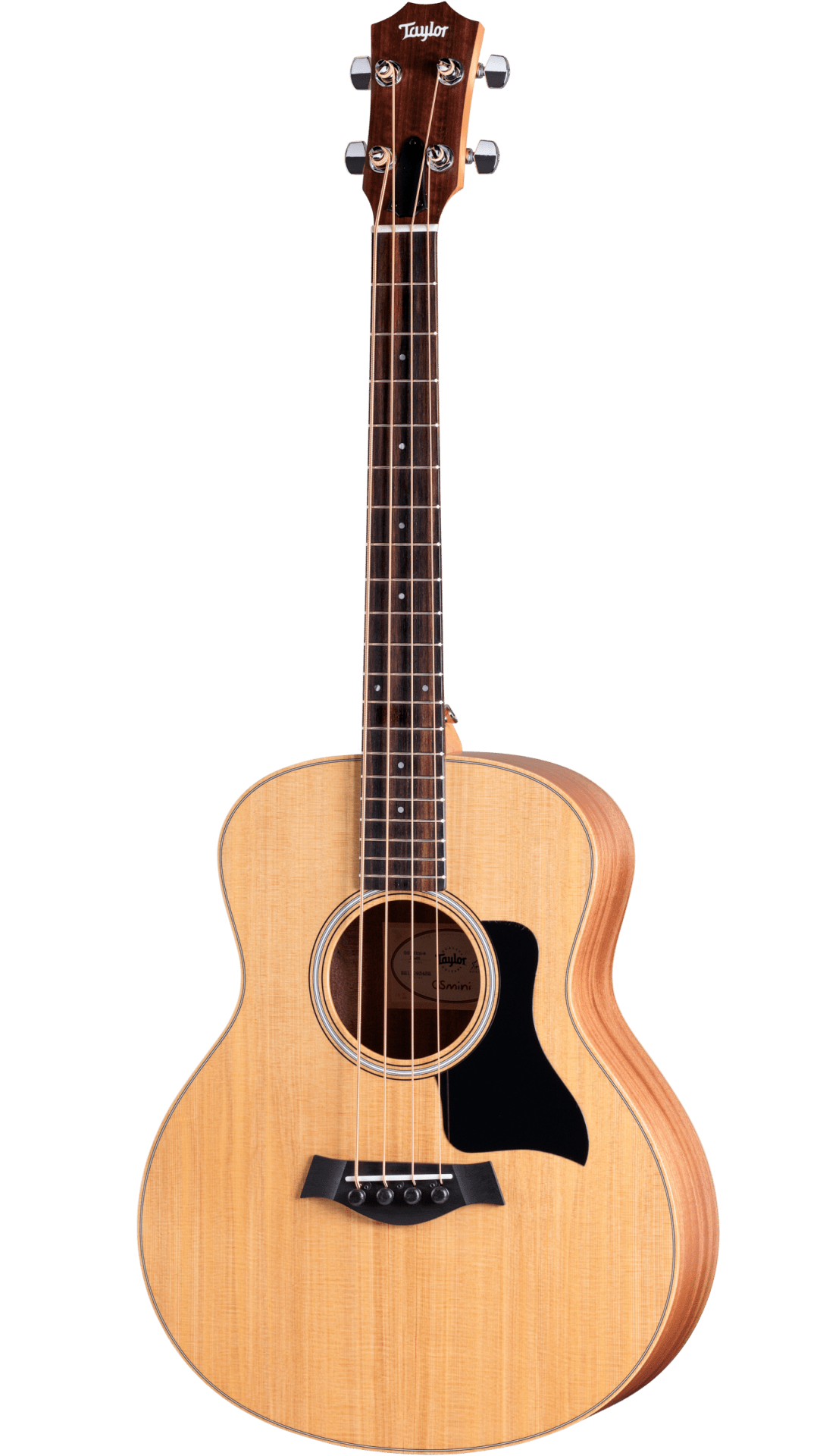 Taylor GS Mini-e - Acoustic Electric Bass with Gig Bag - Spruce Top