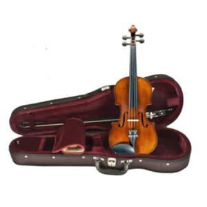 Amati 15" Viola E-190 with Case