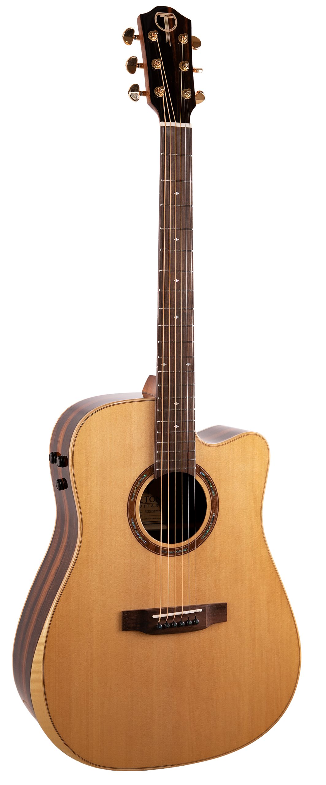 Teton STS180CENT-AR Dreadnough Acoustic Guitar - Solid Spruce Top - Ebony Back & Sides - Armrest