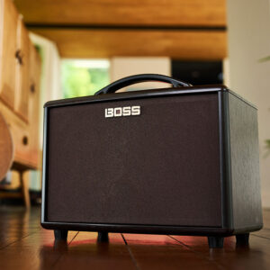 AC-22LX Acoustic Amplifier
