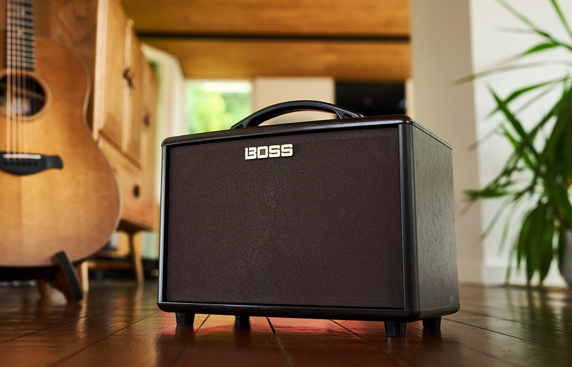 AC-22LX Acoustic Amplifier