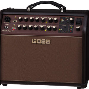ACS-LIVE Acoustic Singer Amplifier Redifined