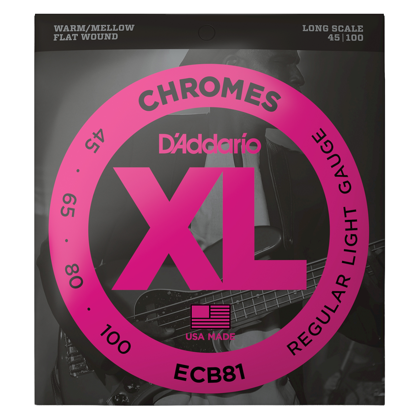 D'Addario ECB81 XL Chromes Flatwound Bass Guitar Strings - Regular Light (45-100) Long Scale
