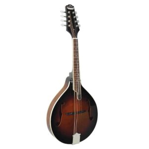 Morgan Monroe A Style Mandolin