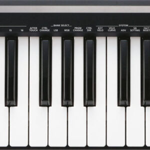 A-49 Midi Keyboard Controller-Portable Control with Pro Action
